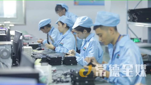 桃源培優“兩主兩特”產業，以信息技術咨詢服務助力挺進全省十強縣